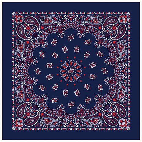 Bandana Paisley