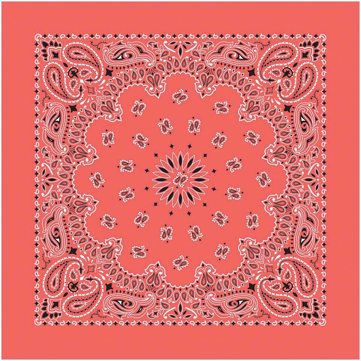 Bandana Paisley