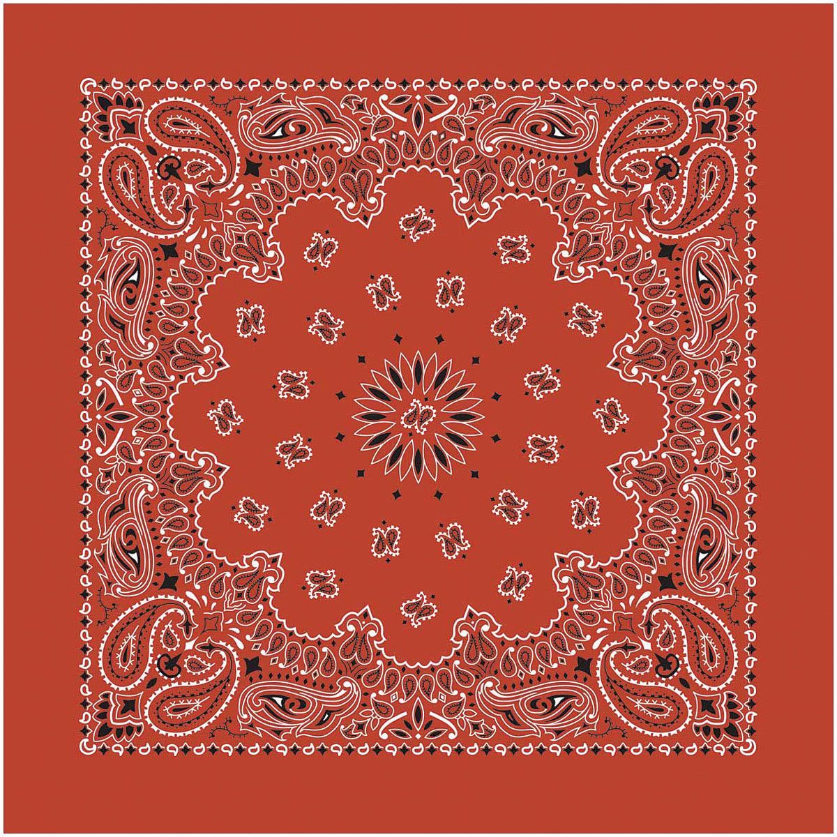 Bandana Paisley