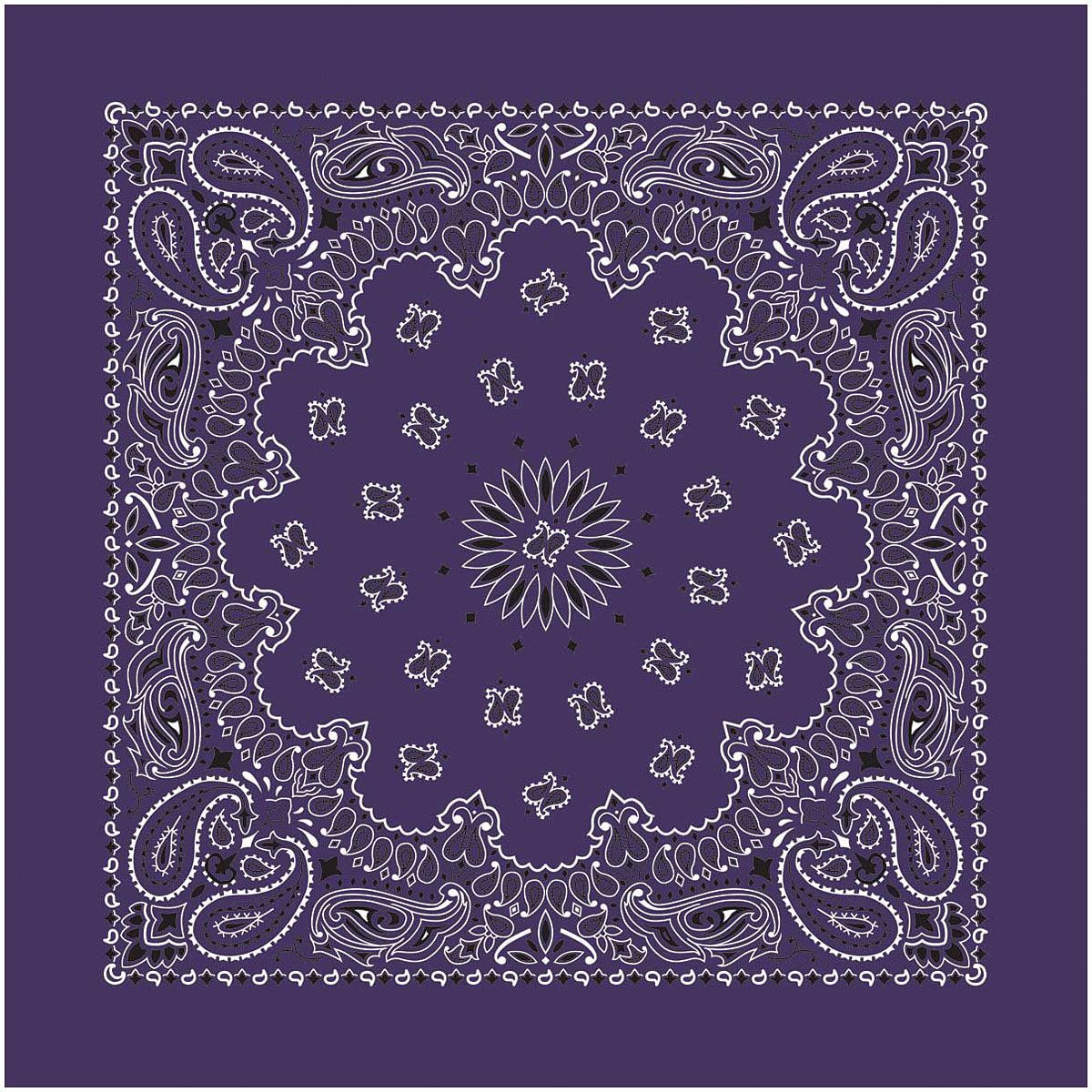 Bandana Paisley