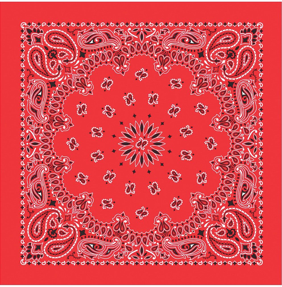 Bandana Paisley