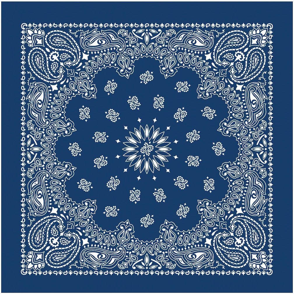 Bandana Paisley