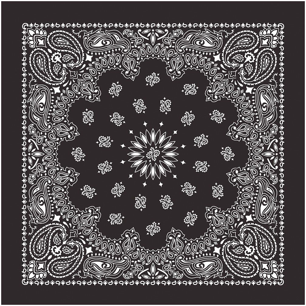 Bandana Paisley