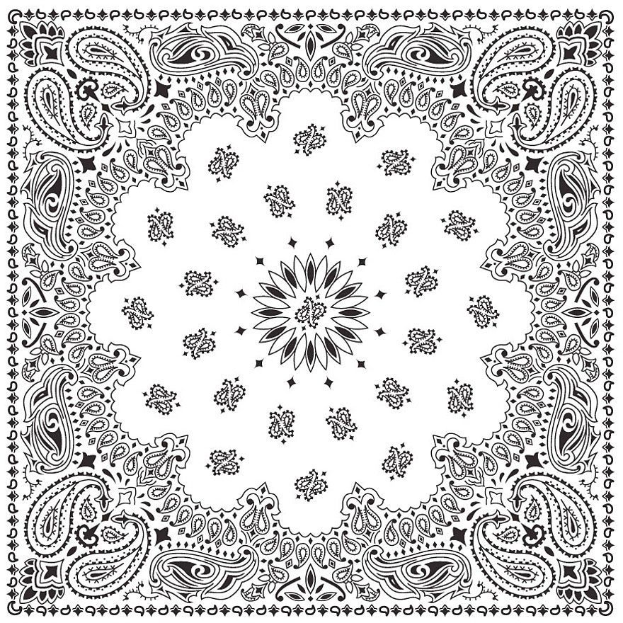 Bandana Paisley