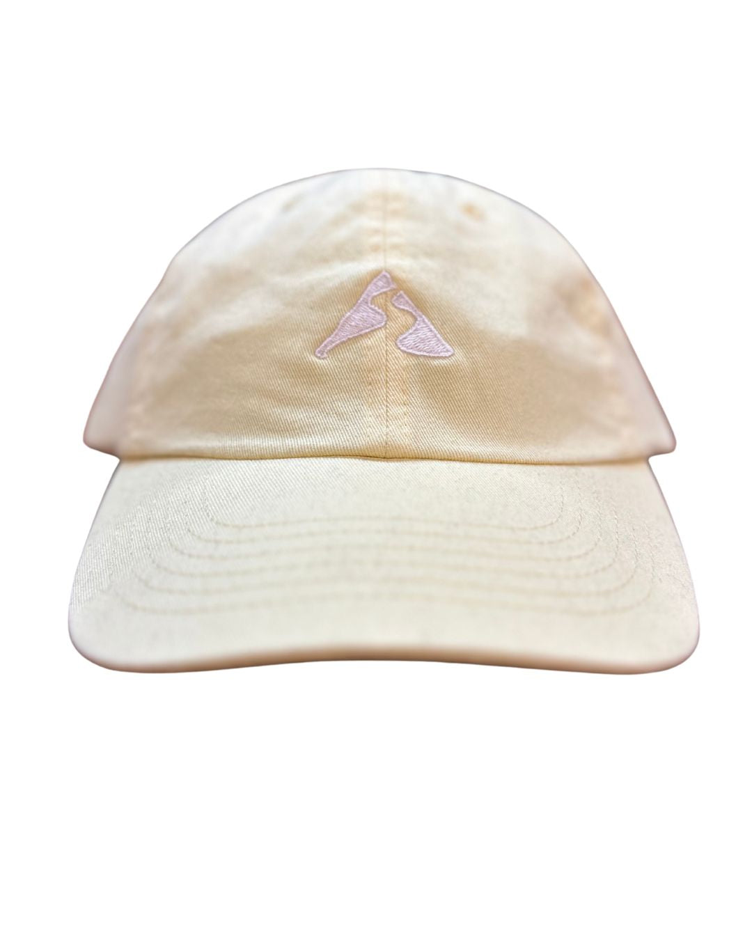 TCO EMBROIDERED HAT