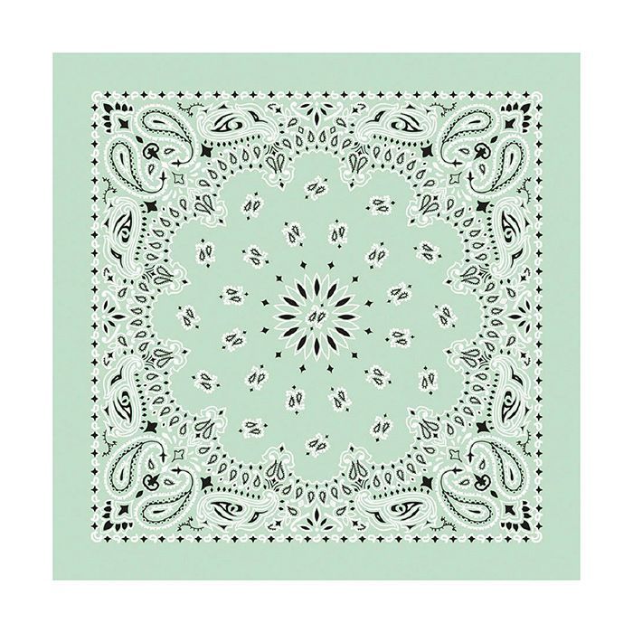 Bandana Paisley