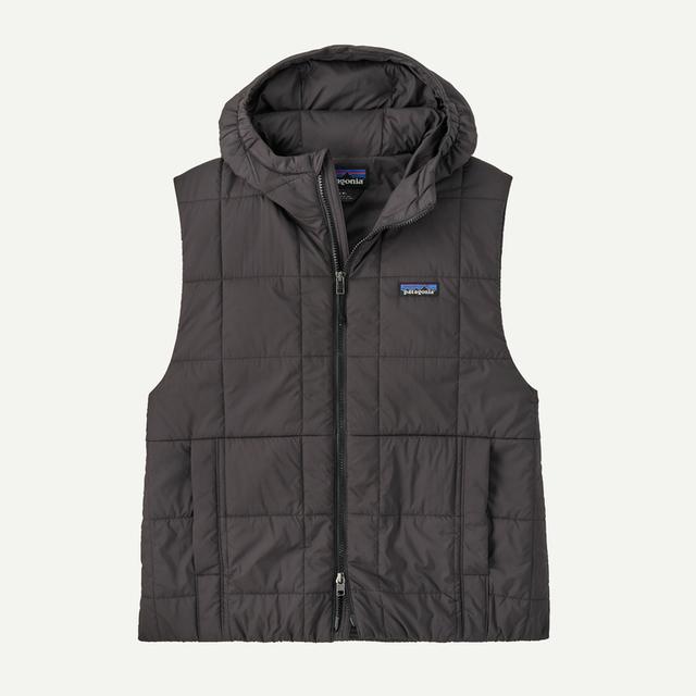 Light Gust Hooded Vest Patagonia
