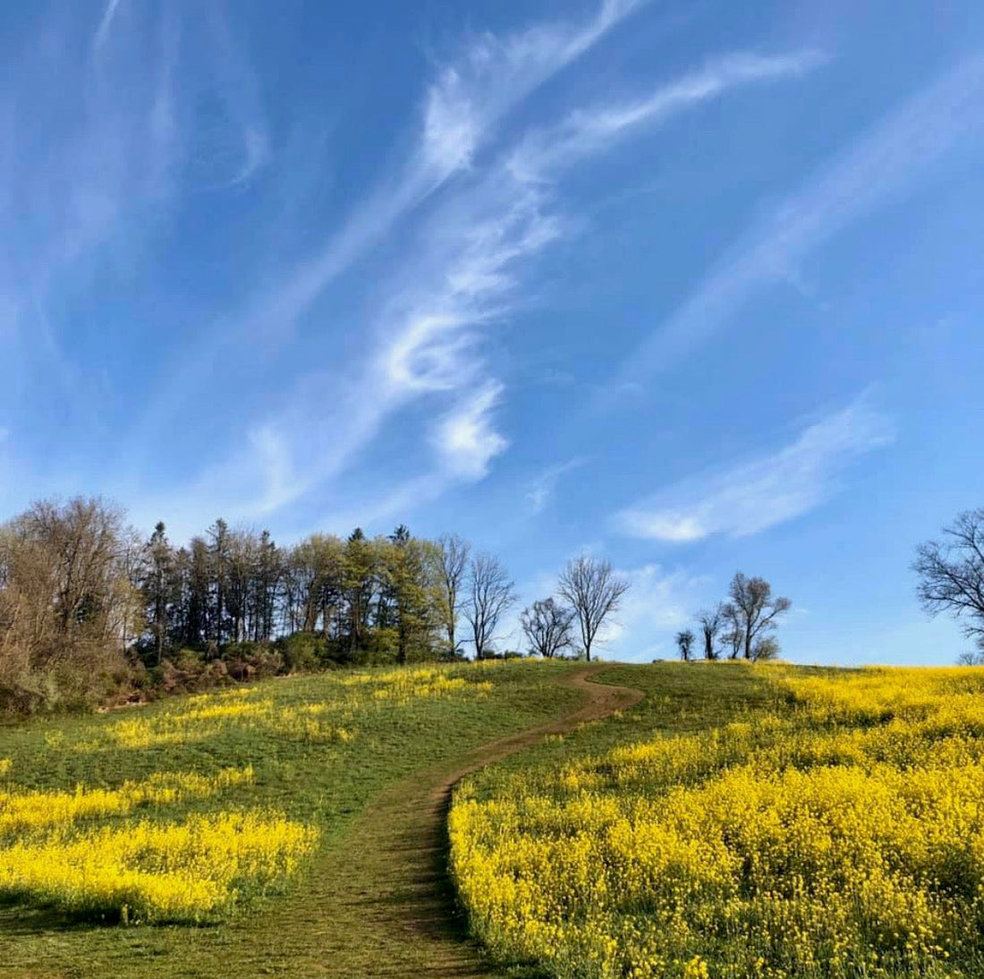 Trail Creek Picks: Our Favorite Trails & Parks in the Brandywine Valley