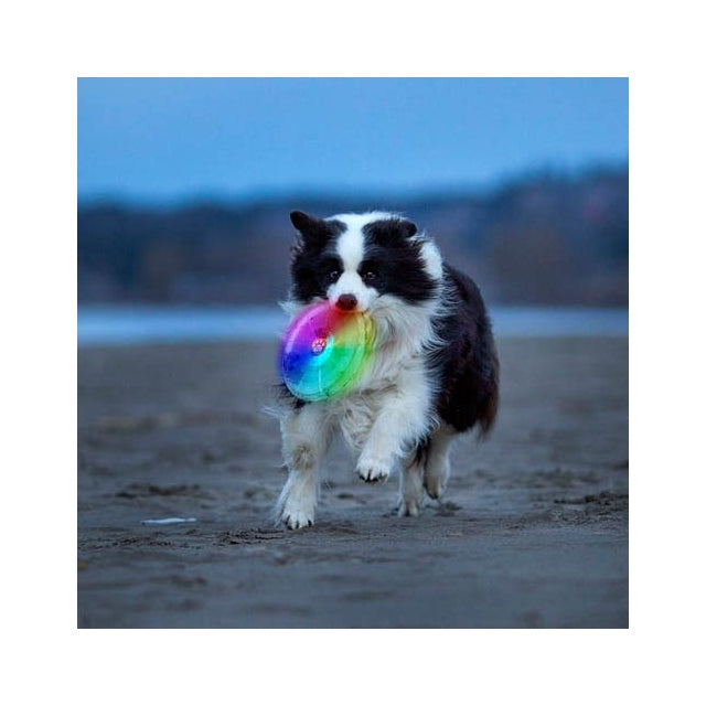 Nite Ize Flashflight Dog Discuit Led Flying Disc - Disc-o