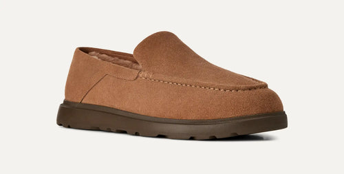 Chestnut / 10