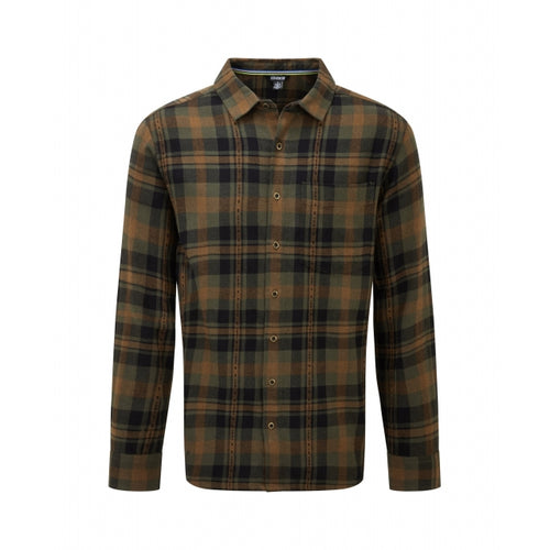 Evergreen / Medium