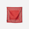 Paisley Red