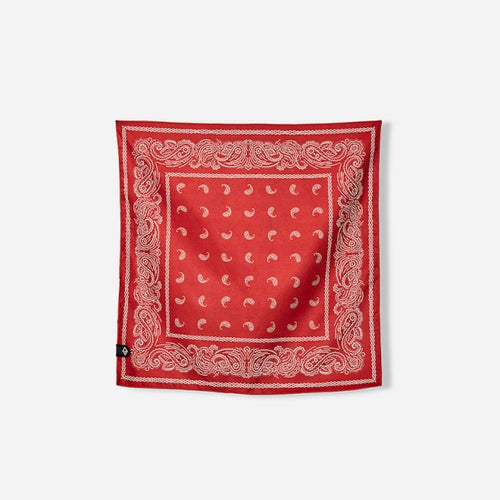 Paisley Red