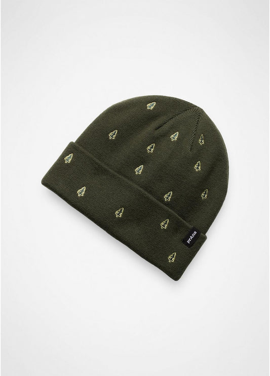 Wild Now Beanie