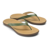 Green Olive / Golden Sand / 6