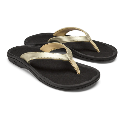 Gold / Black / 6