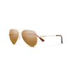 Gold | Polarized Brown