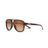 Tortoise | Polarized Brown Gradient