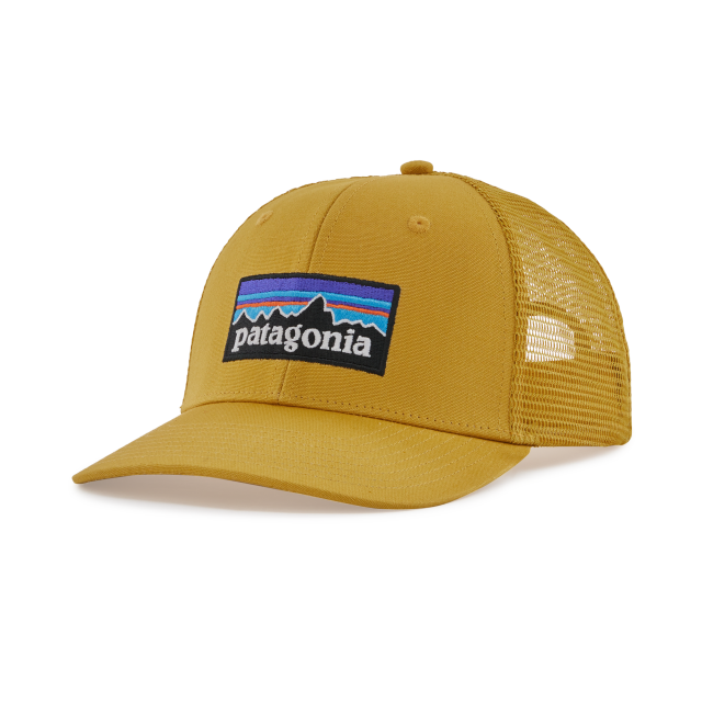 Patagonia P-6 Logo Trucker Hat CGLD