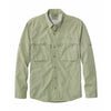 Dusty Sage / M