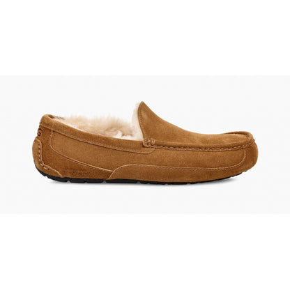 Ugg M Ascot CHESTNUT