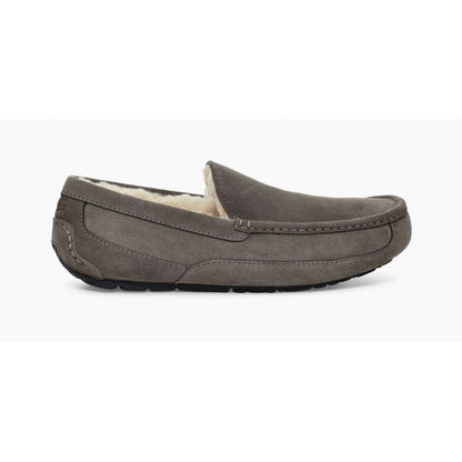 Ugg M Ascot GREY