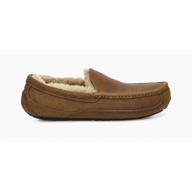 Mens Ascot Ugg
