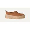 Chestnut / Mustard Seed / 6