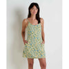 Glacier Daisy Field Print / Small
