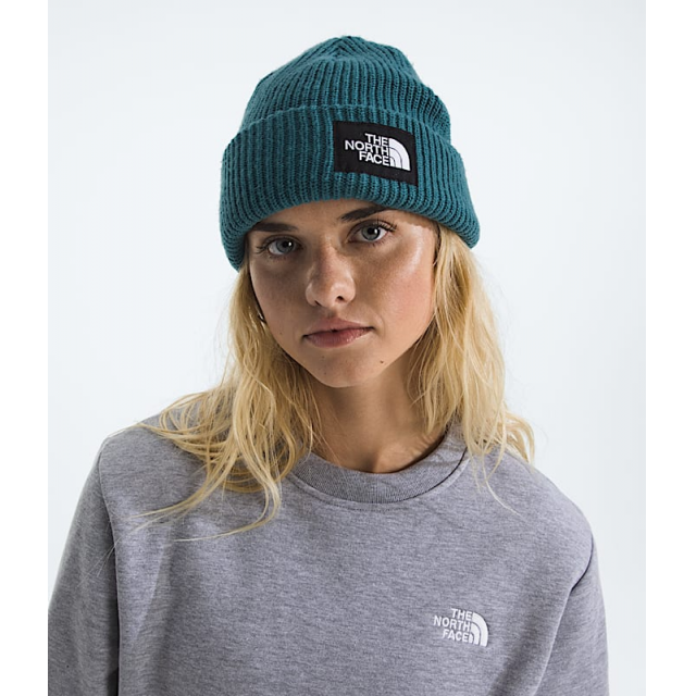 Salty Lined Beanie THE NORTH FACE