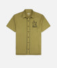 Olive / M