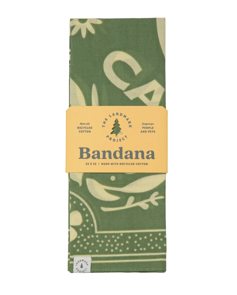 Woodsy Owl Bandana - Vineyard Green