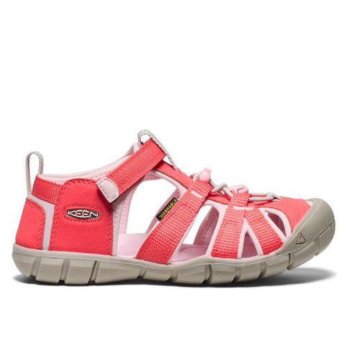 Dubarry/Pink-A-Boo / 32/33 Regular