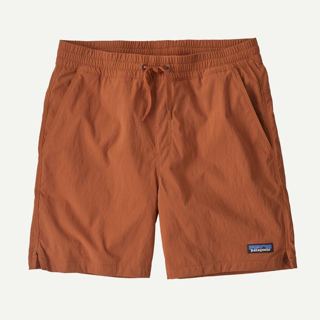 Patagonia Baggies Lights Robin Brown