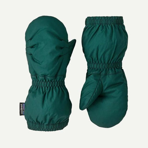 CASG / 24M