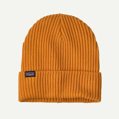 autumn orange / All