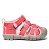 Dubarry/Pink-A-Boo / 12.5 Regular