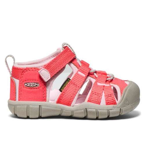 Dubarry/Pink-A-Boo / 12.5 Regular