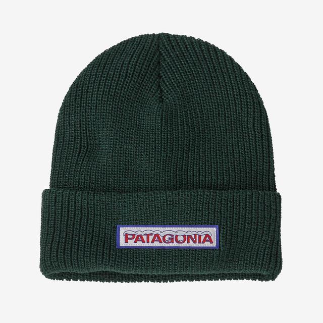 Patagonia K's Logo Beanie CHGN