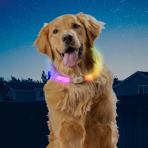 Nite Ize Nitehowl® Max Rechargeable Led Safety Necklace - Disc-o Select Disc-O Select™