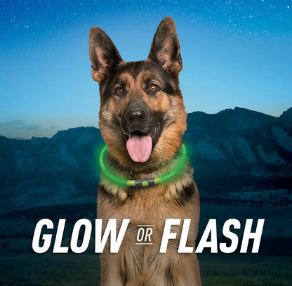 Nitehowl Rechargeable Led Safety Necklace - Green