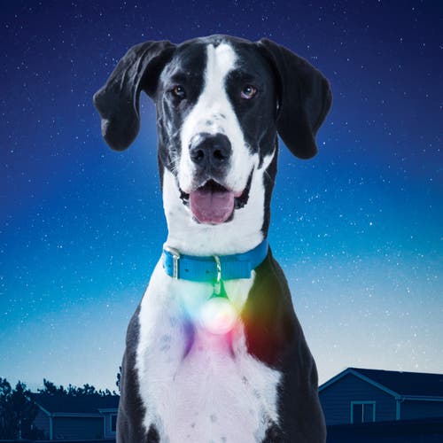 Nite Ize Spotlit® Rechargeable Collar Light Disc-O Tech™ Jewel